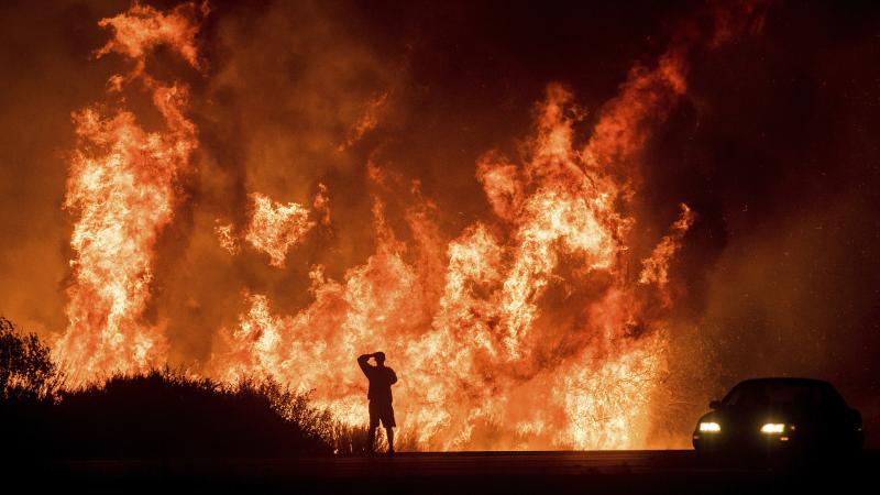 Man Watching Fire In The Jungle