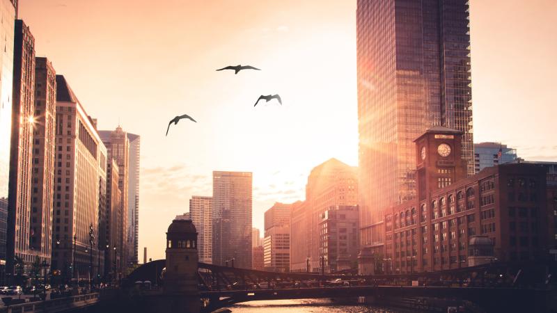 Morning City Rise Birds Flying