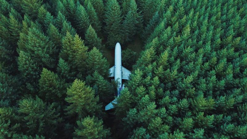 Plane In Middle Of Forest 4k