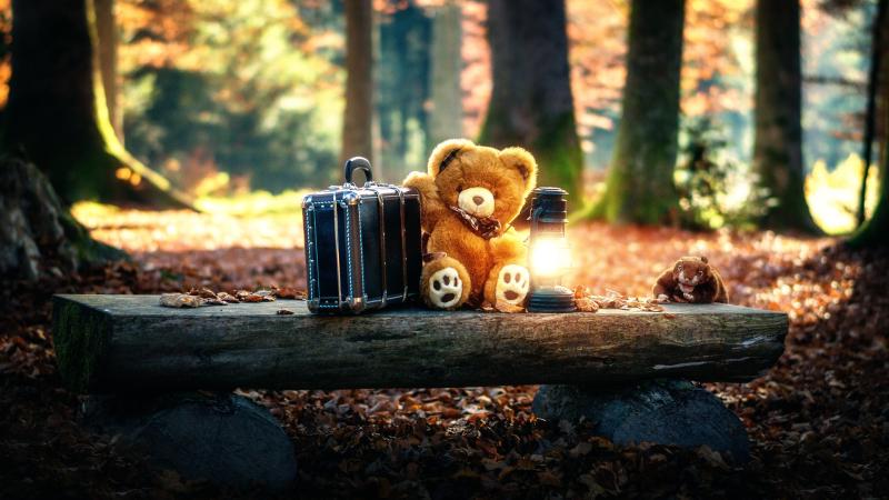 Teddy Bears Cute Alone in Forest