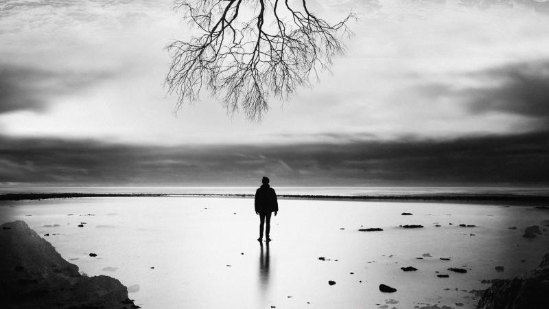 Tree Of Life