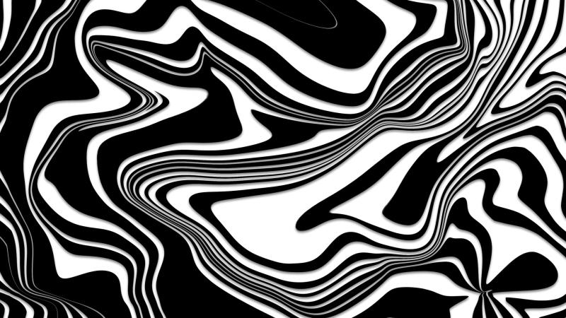 Zebra Abstract