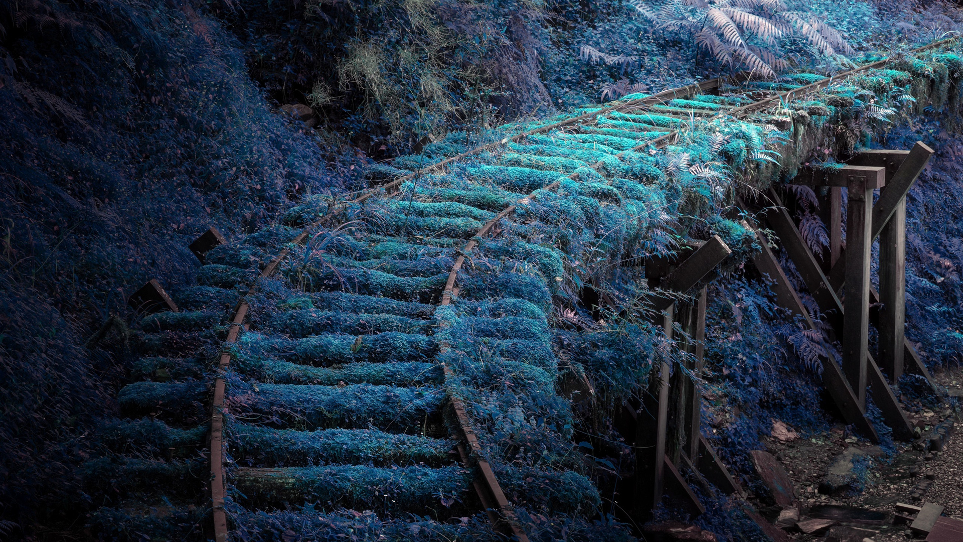 Dreamy Rail Road Flowers