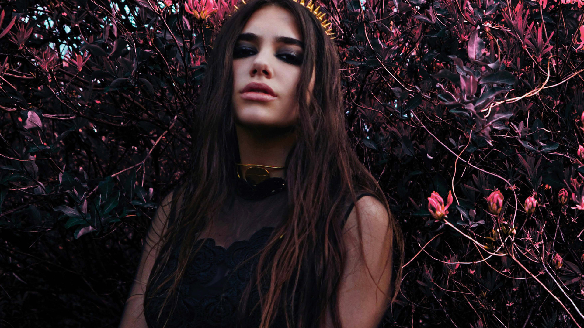 Dua Lipa 2018 Hd