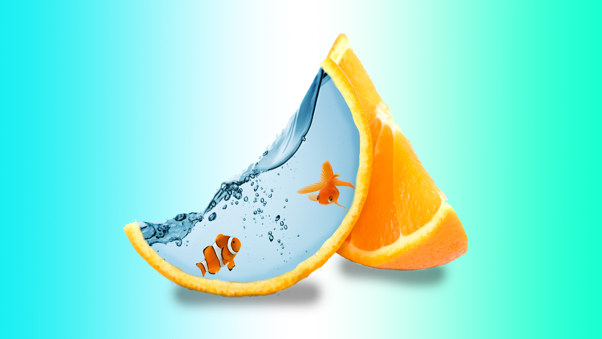 Fish Creative Art