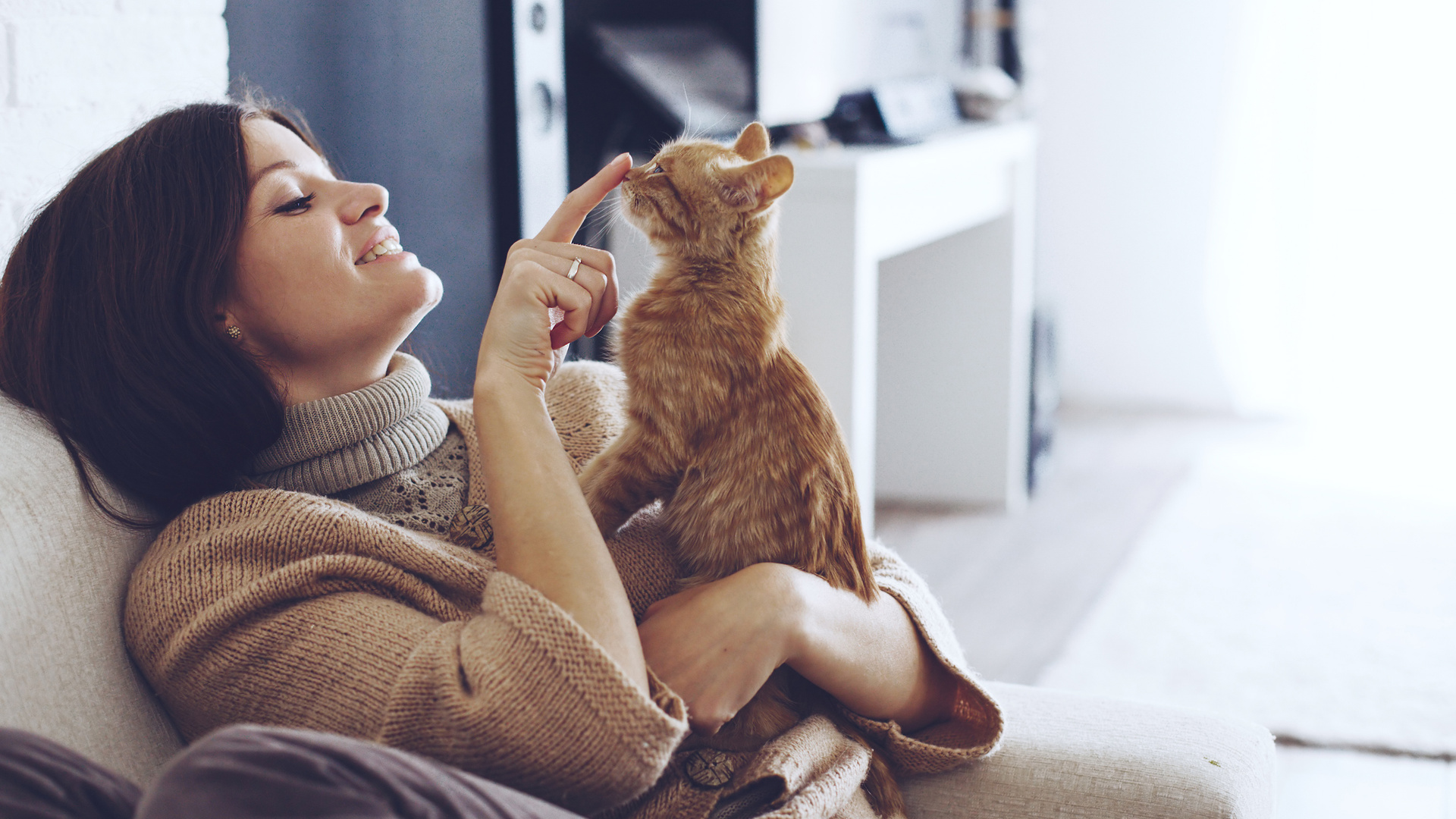 Girl Playing With Cat 4k