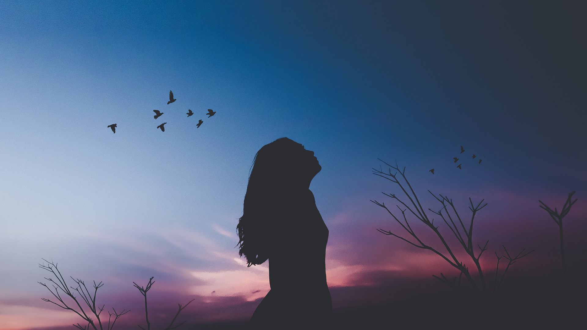 Girl Silhouette Shadow Birds Flying