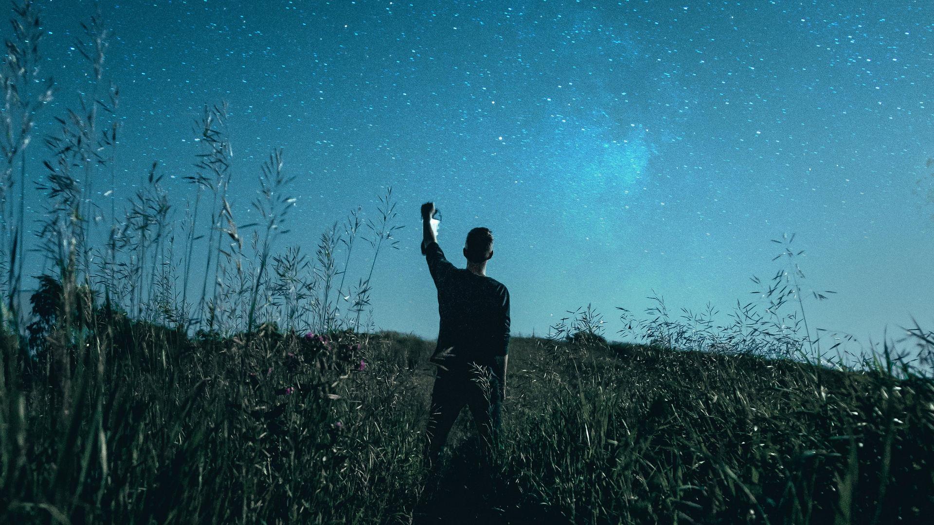 Guy With Lantern Dusk Forest 4k
