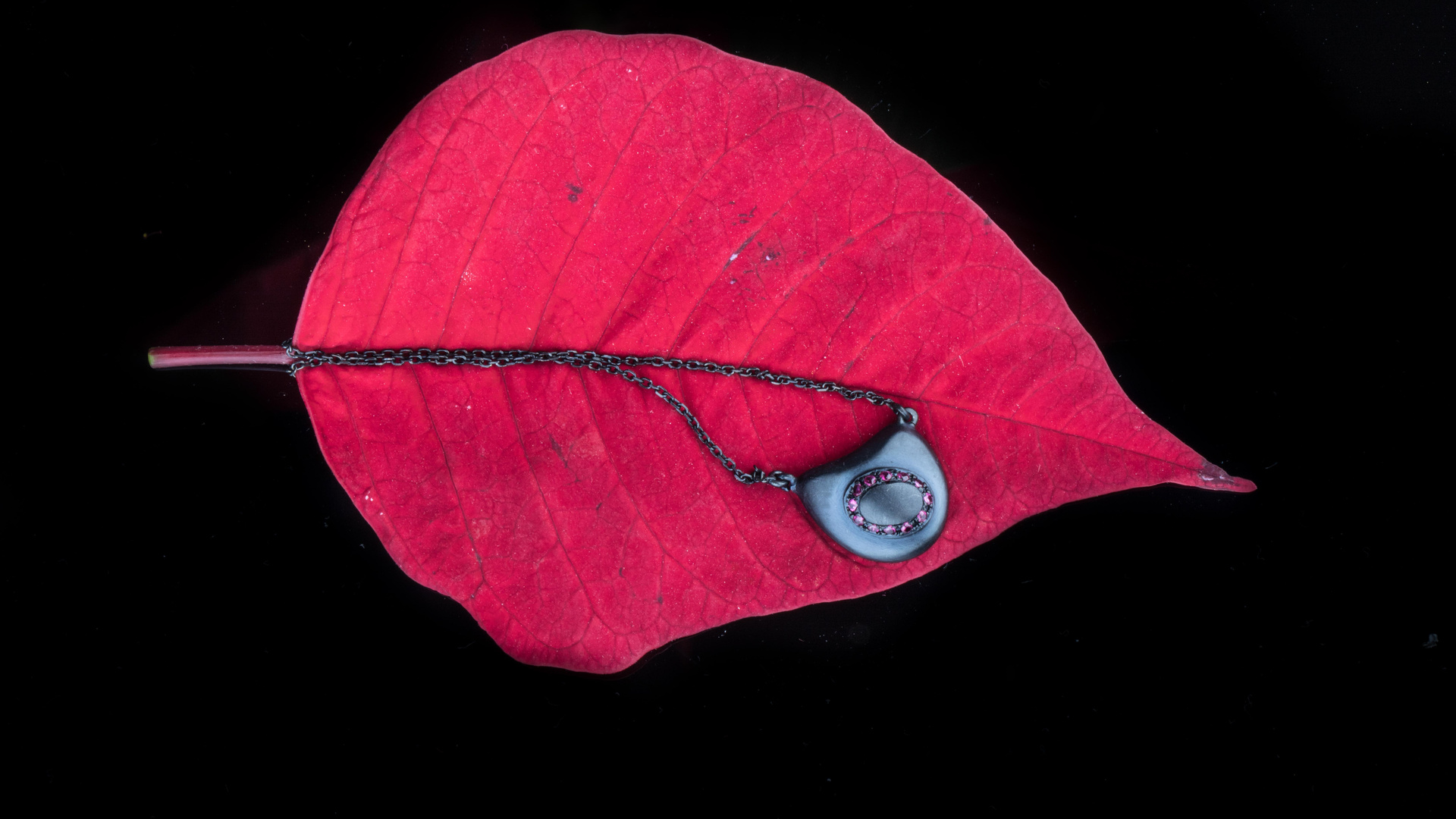 Leaf Oled 5k