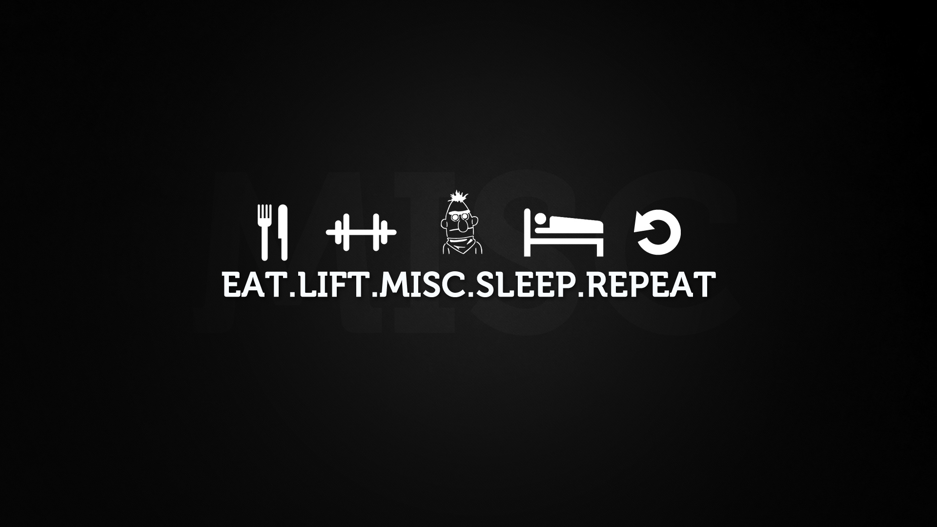 Life Cycle