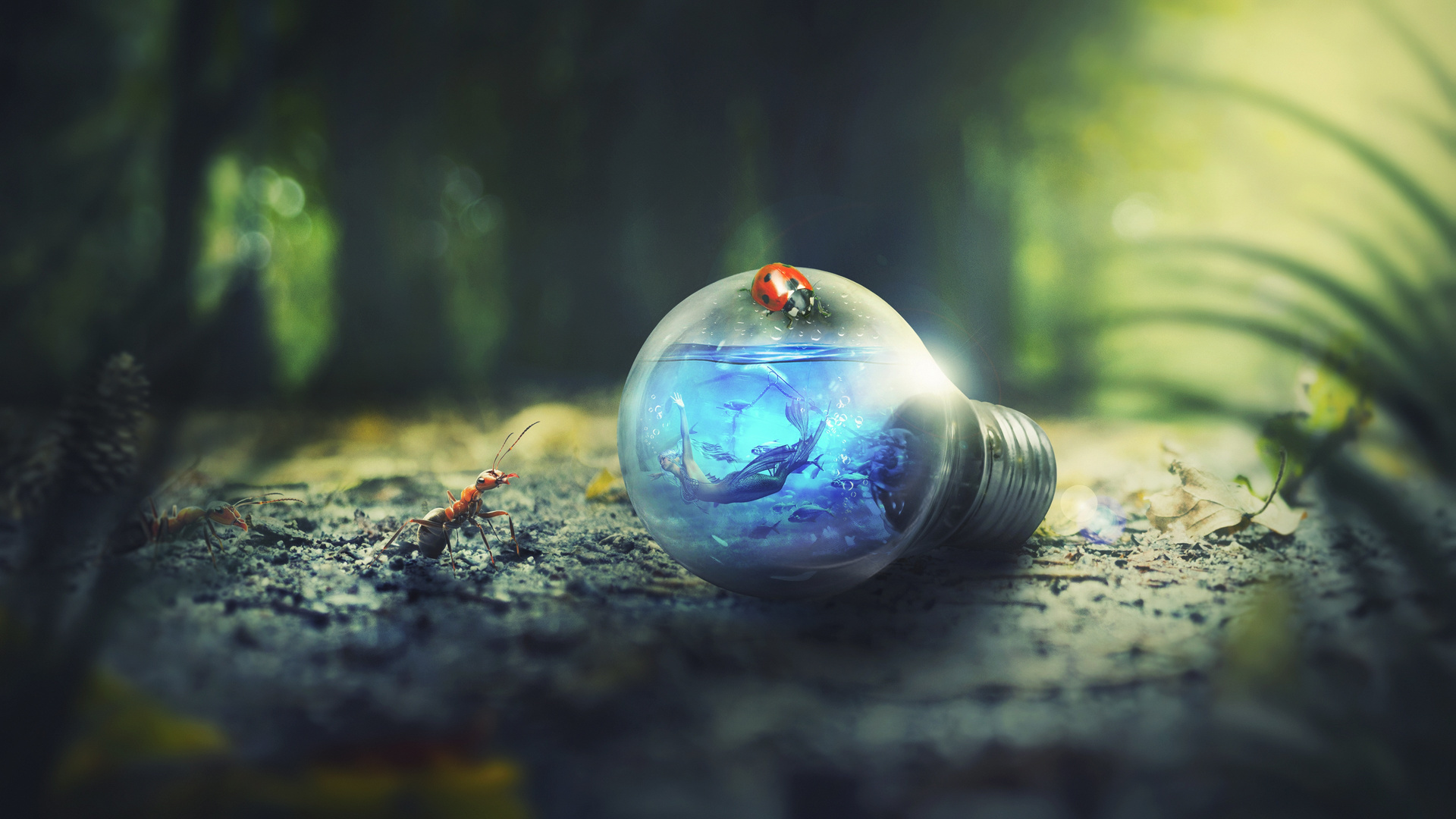 Light Bulb Nature Forest Ants Photoshop