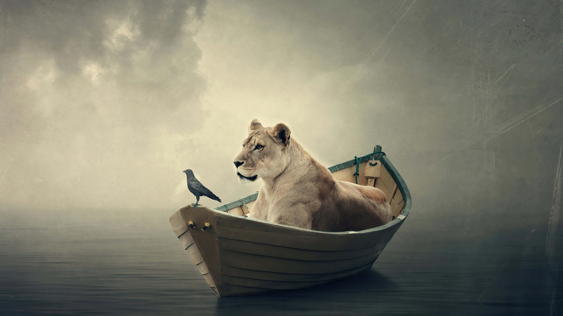 Lion Boat 5k