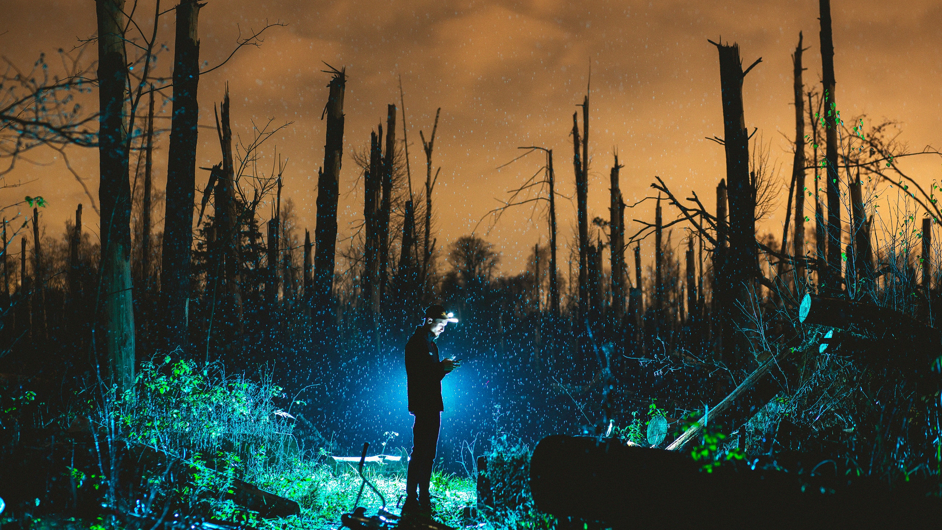 Man Standing Near Bare Trees Photo