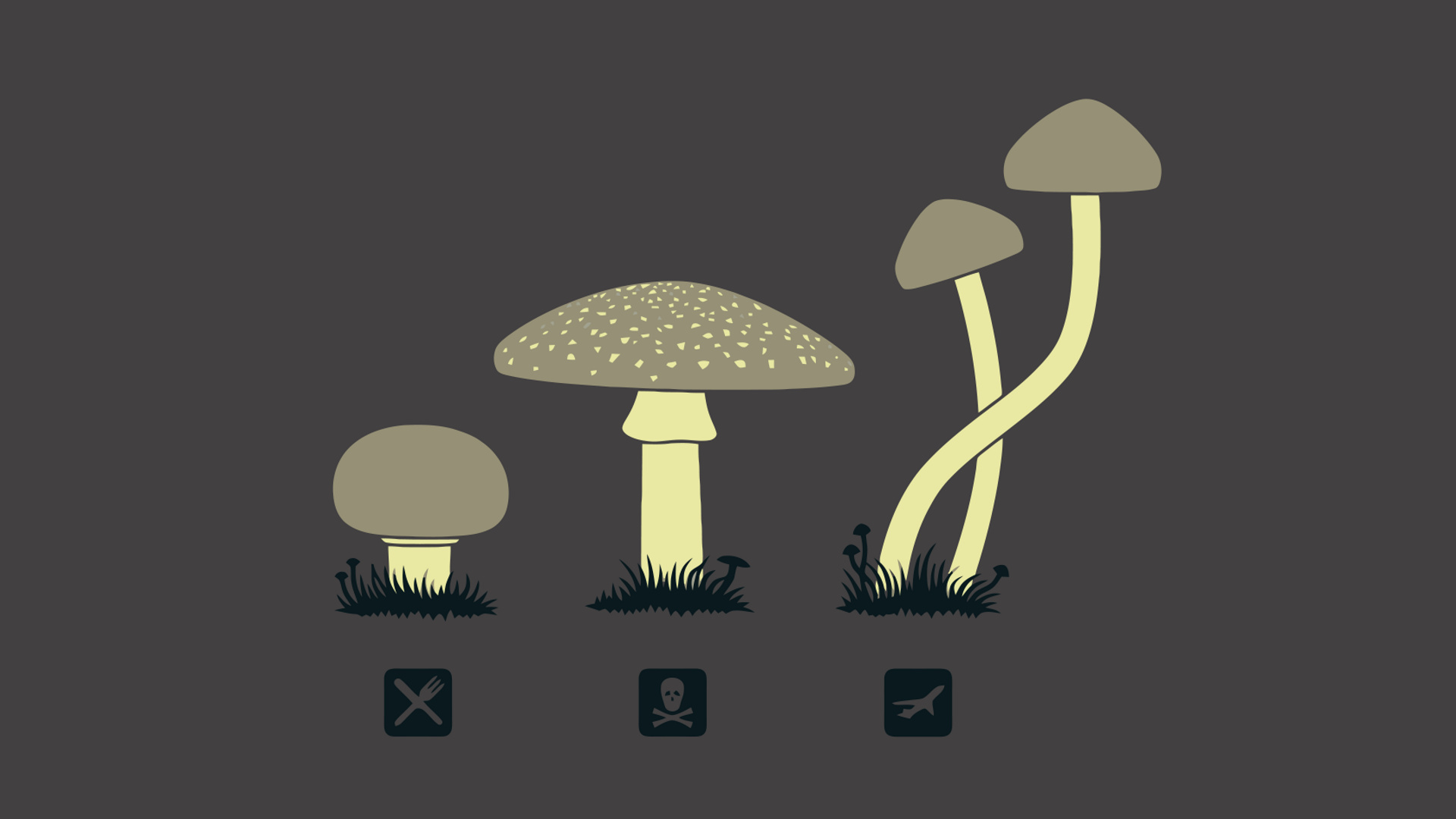 Mushroom Minimalism