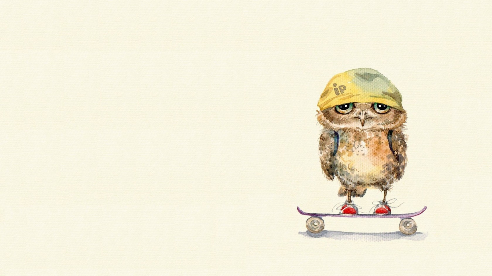 Owl On Skateboard