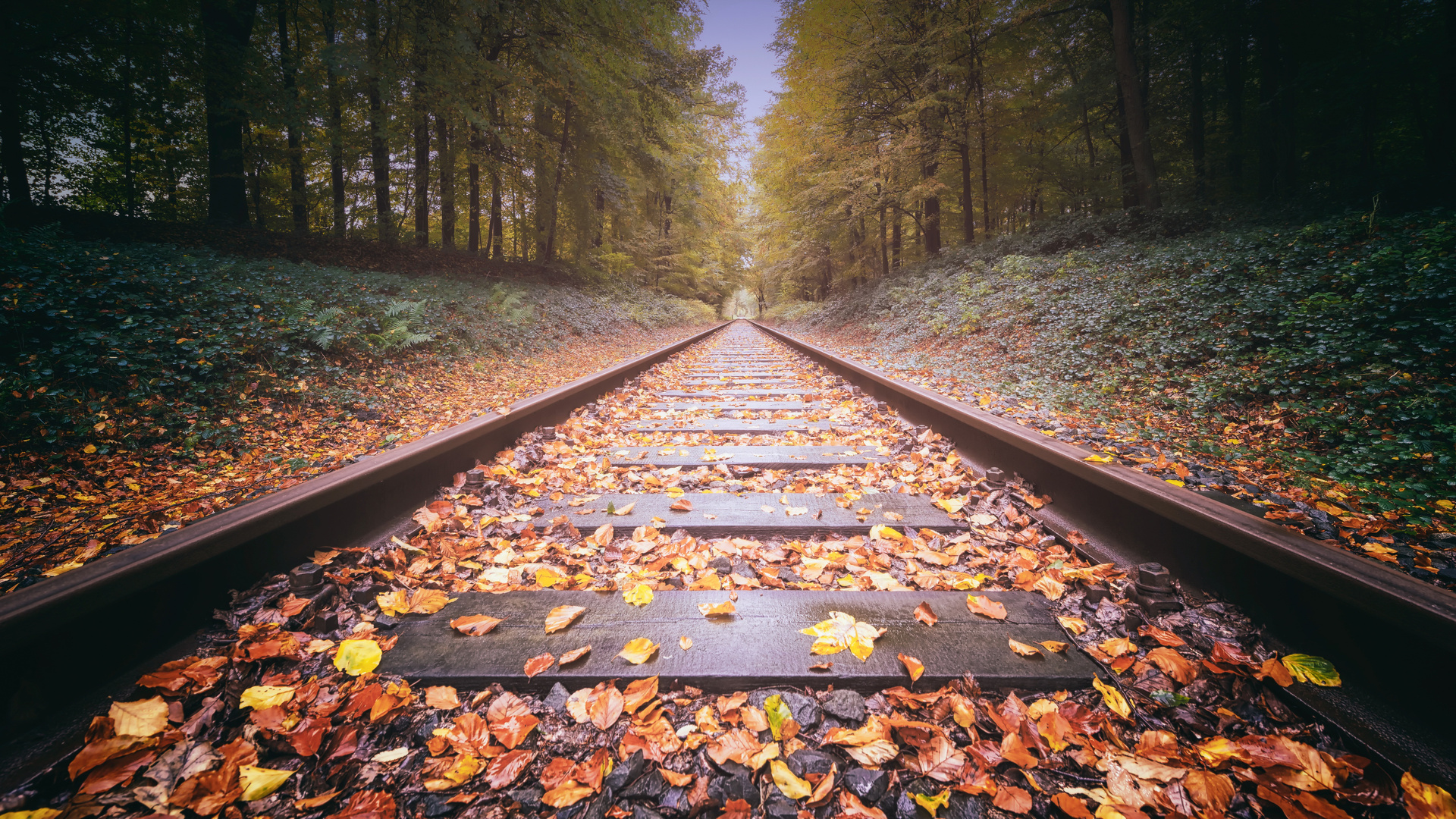 Railway Track