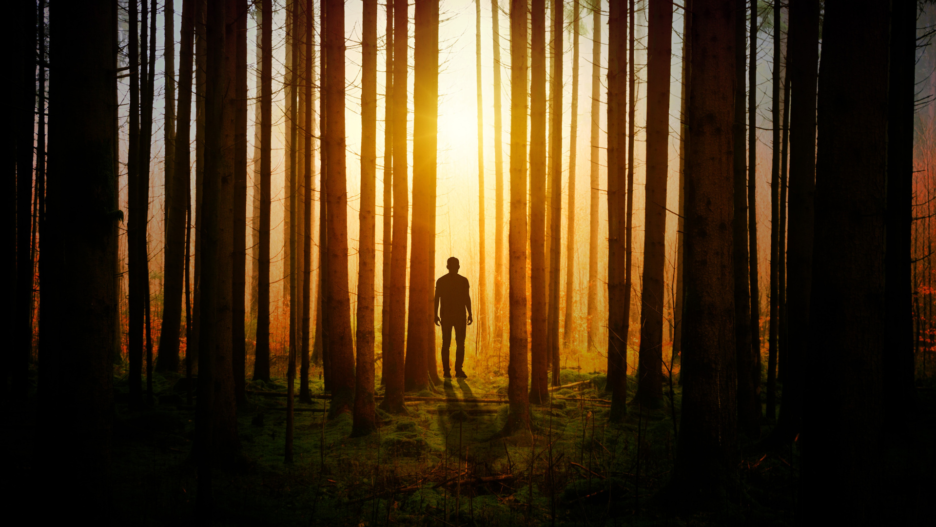 Silhouette Of A Man In Woods Covered By Tress Sunbeams