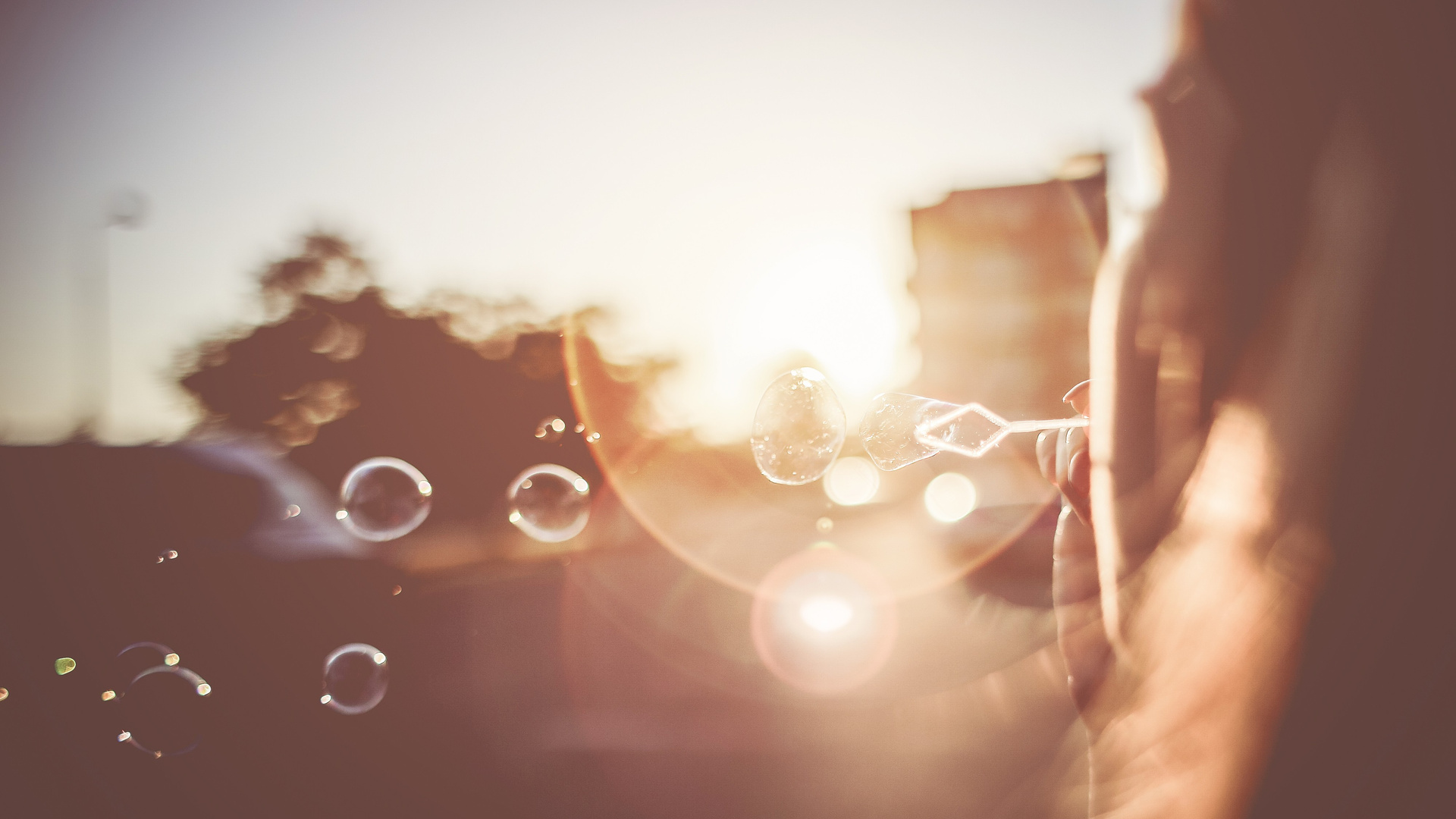 Soap Bubbles