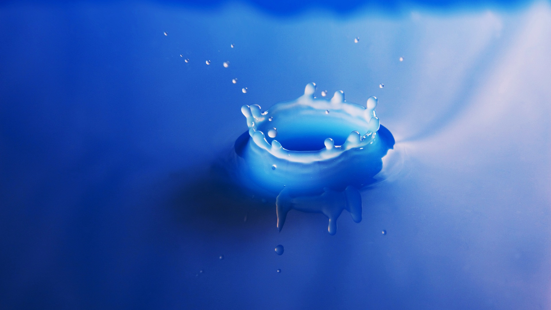 Splash