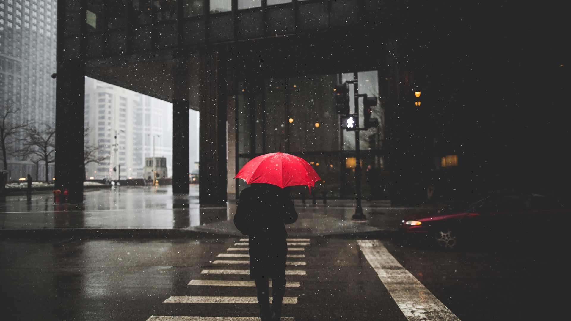 Umbrella Rain Person