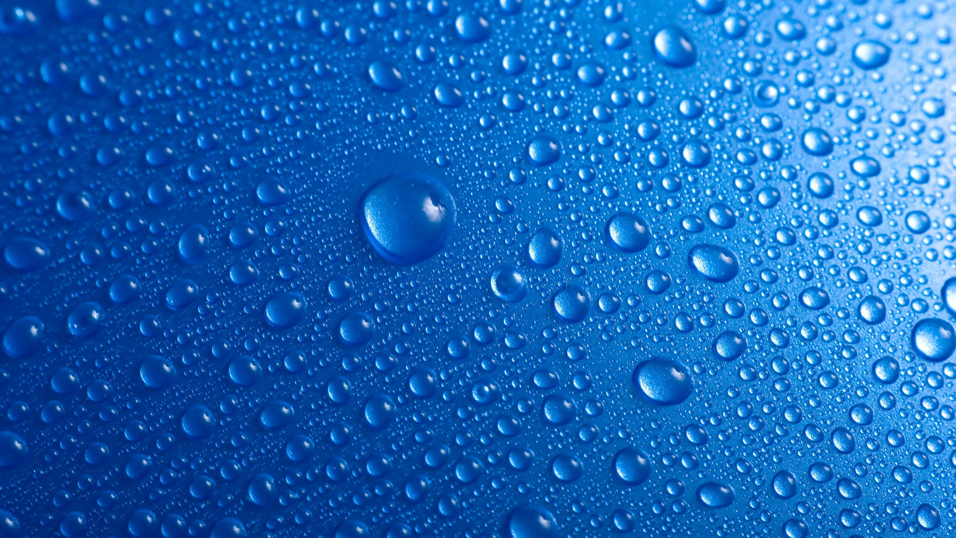 Water Droplets 4k