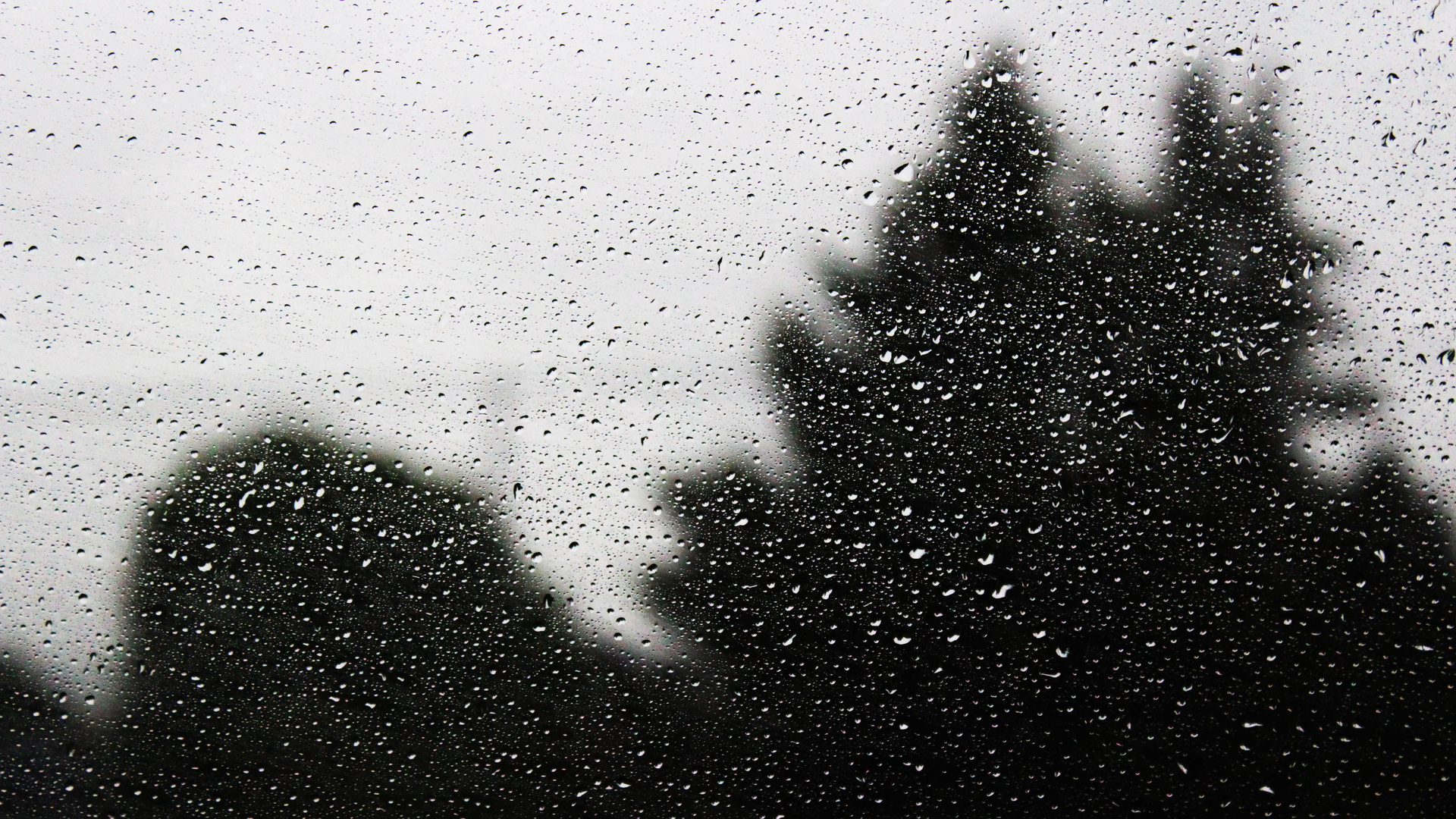 Water Drops On Glass