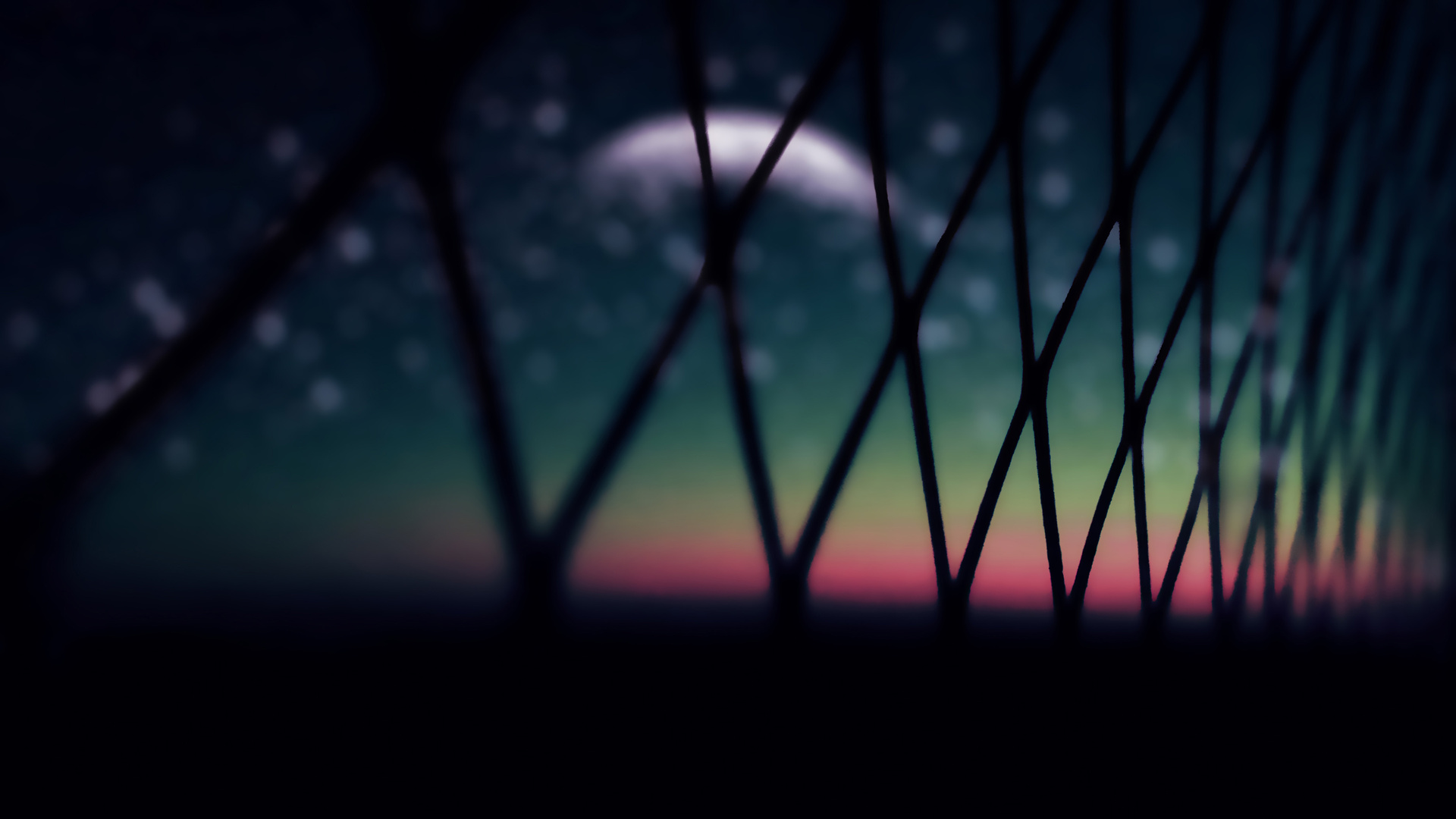 Wire Fence Macro