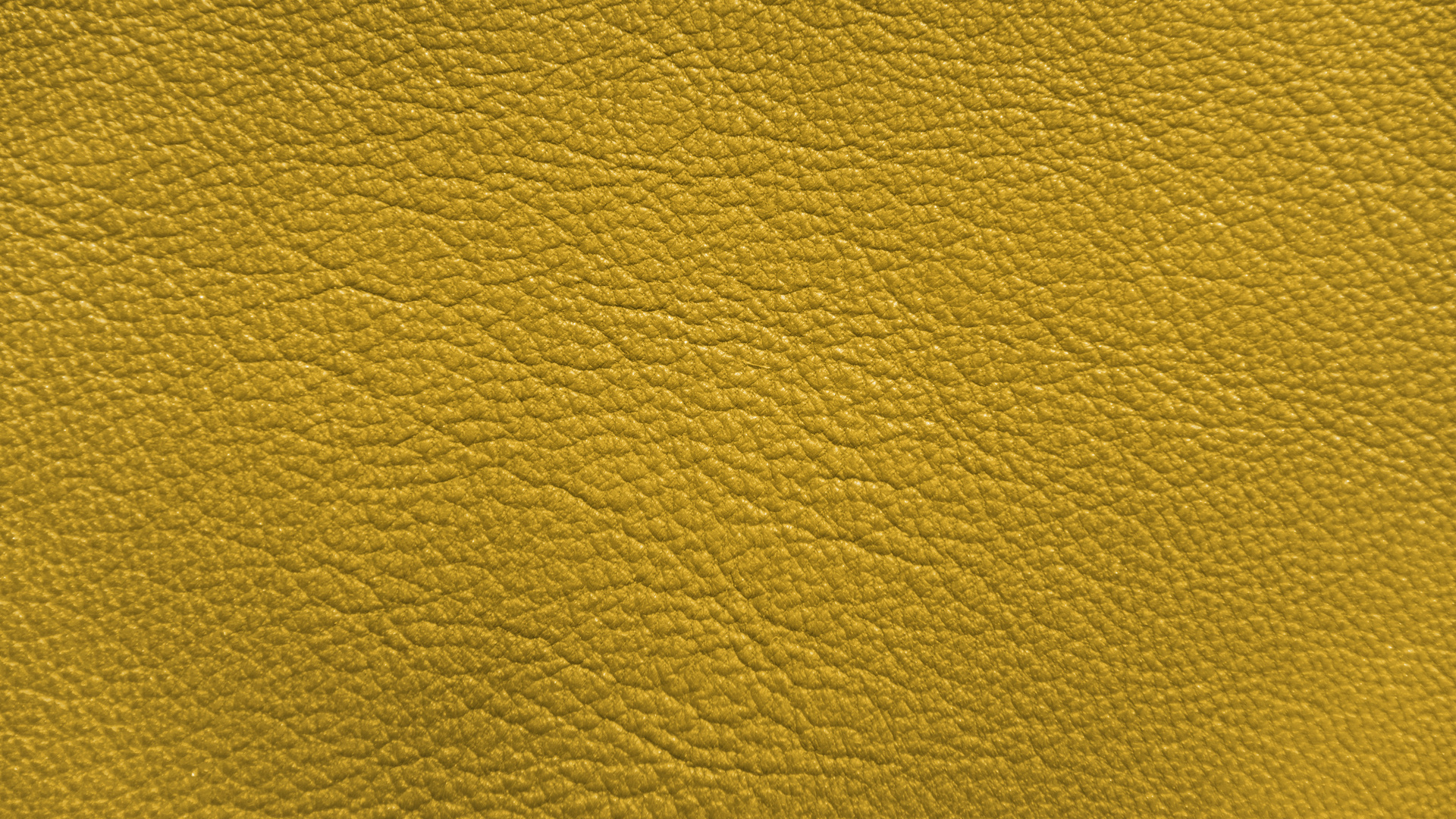 Yellow Leather 5k