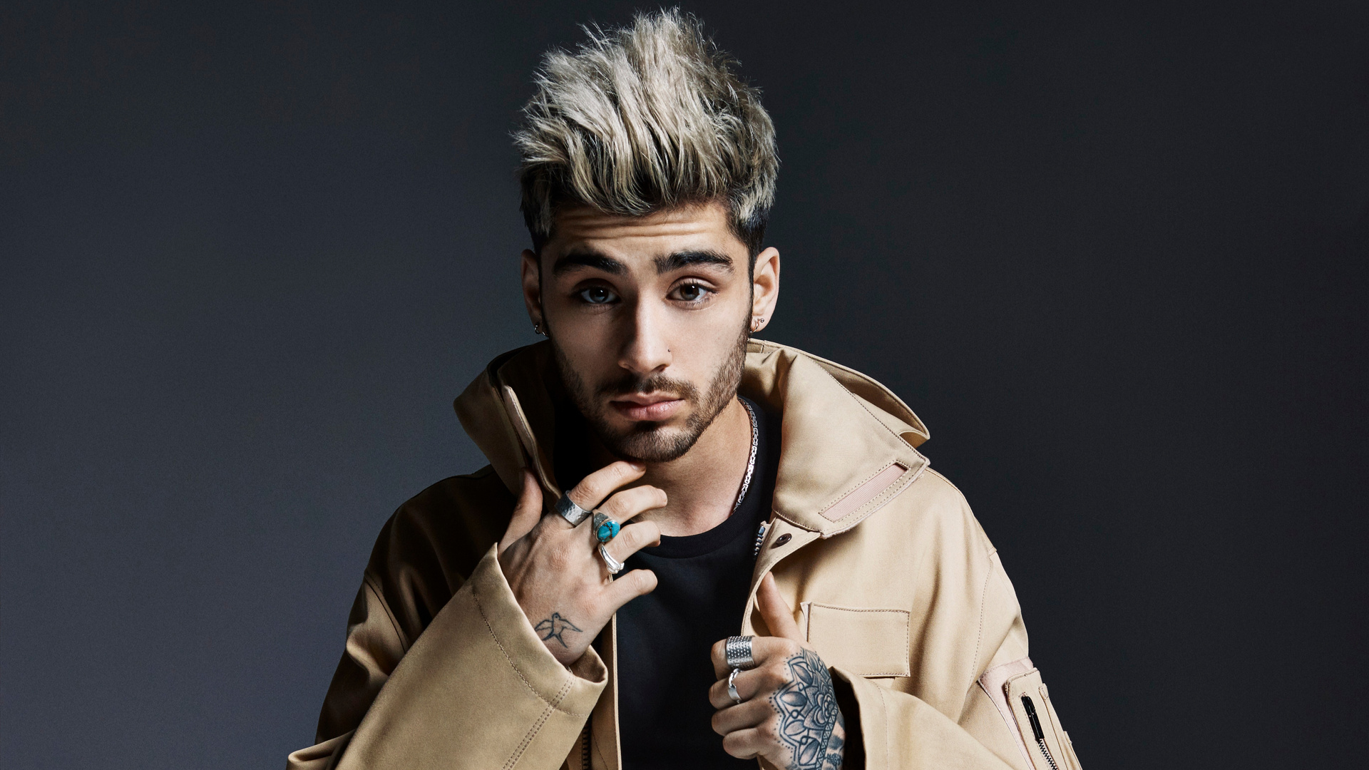 Zayn 2018 5k