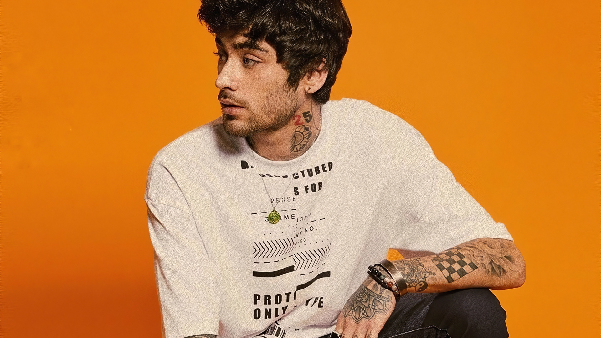 Zayn 2020