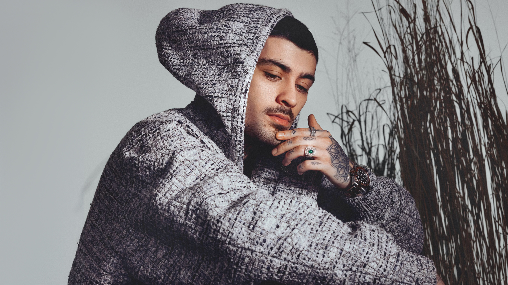 Zayn Malik 2024 4k