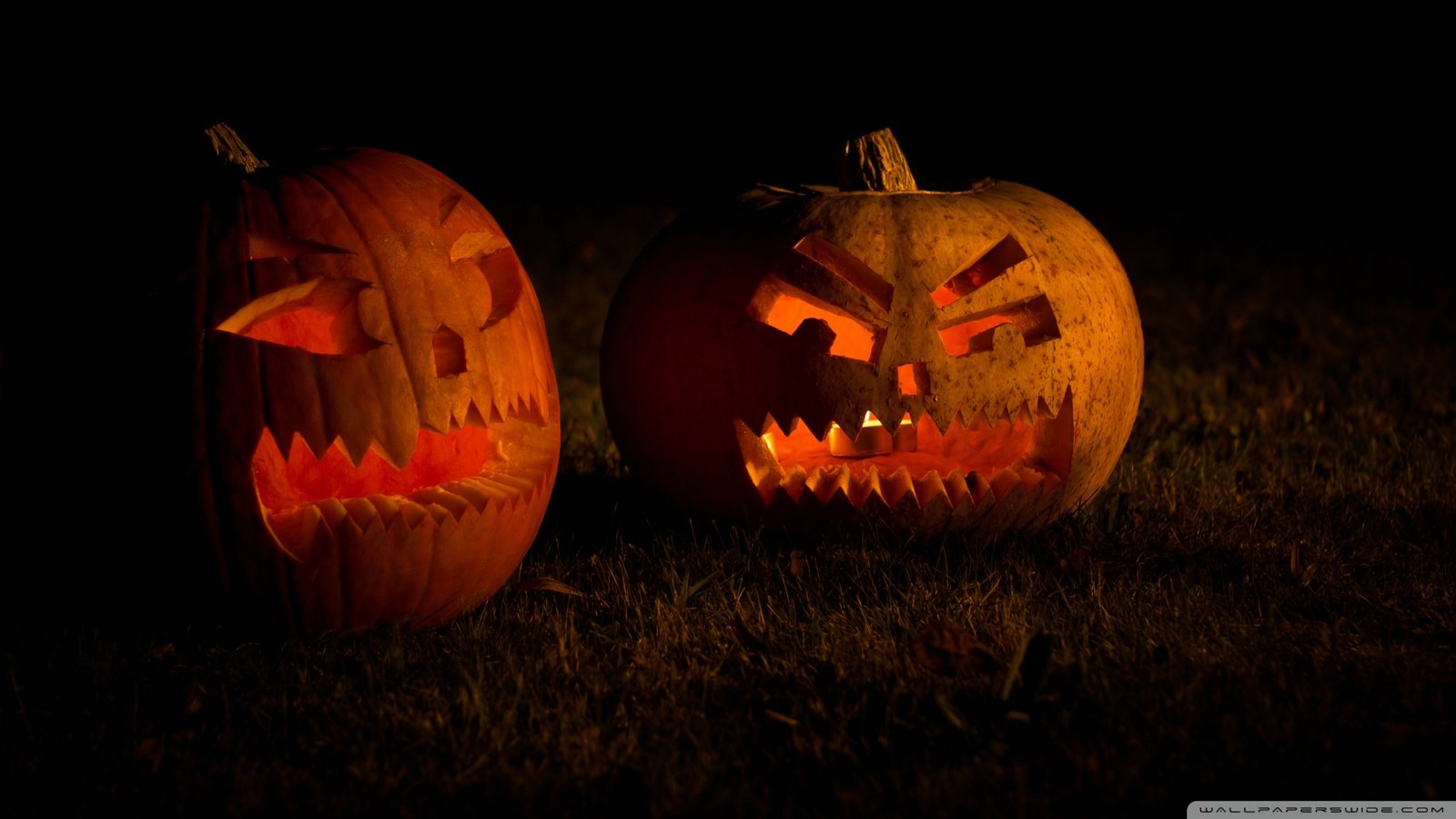 Carved Halloween Pumpkins Wallpaper