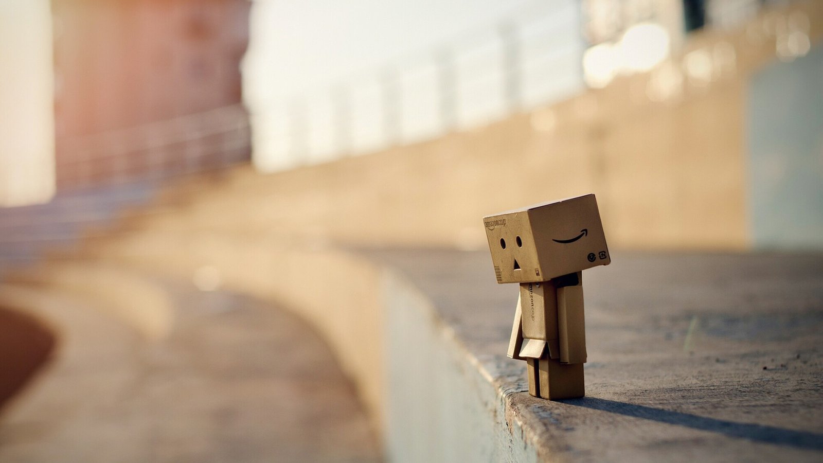 Danbo Photography Wallpaper