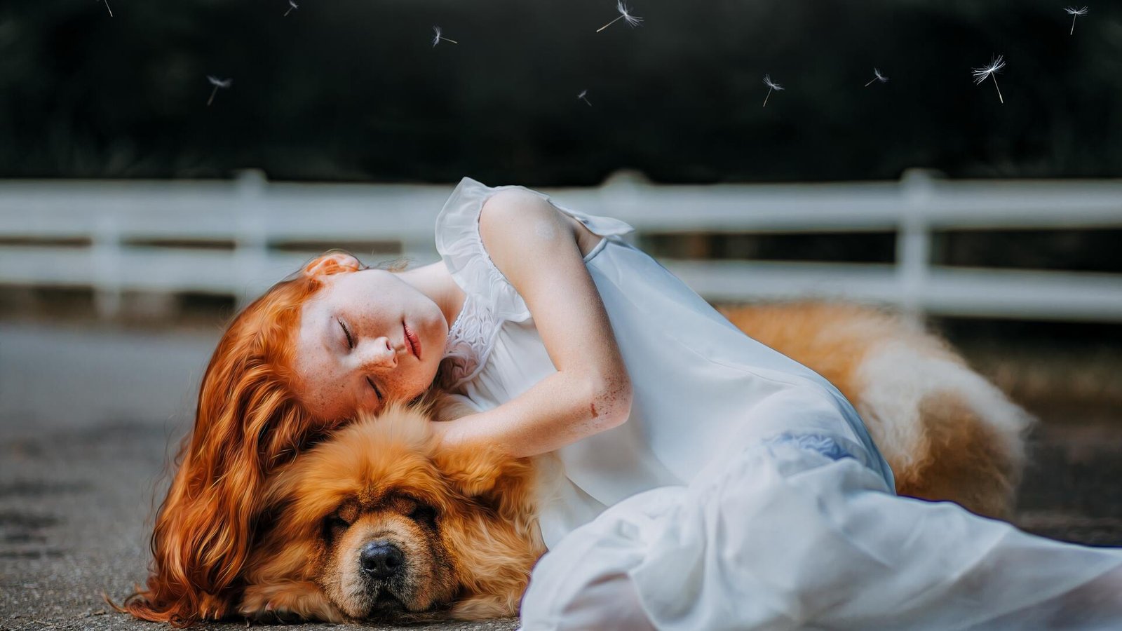 Girl And Dog Sleeping 5k Wallpaper