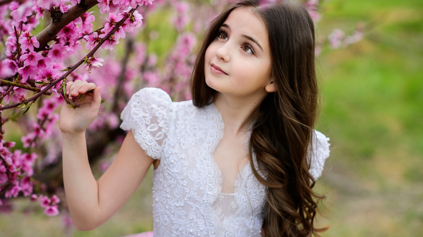 Little Girl Standing Along With Flowers Wallpaper