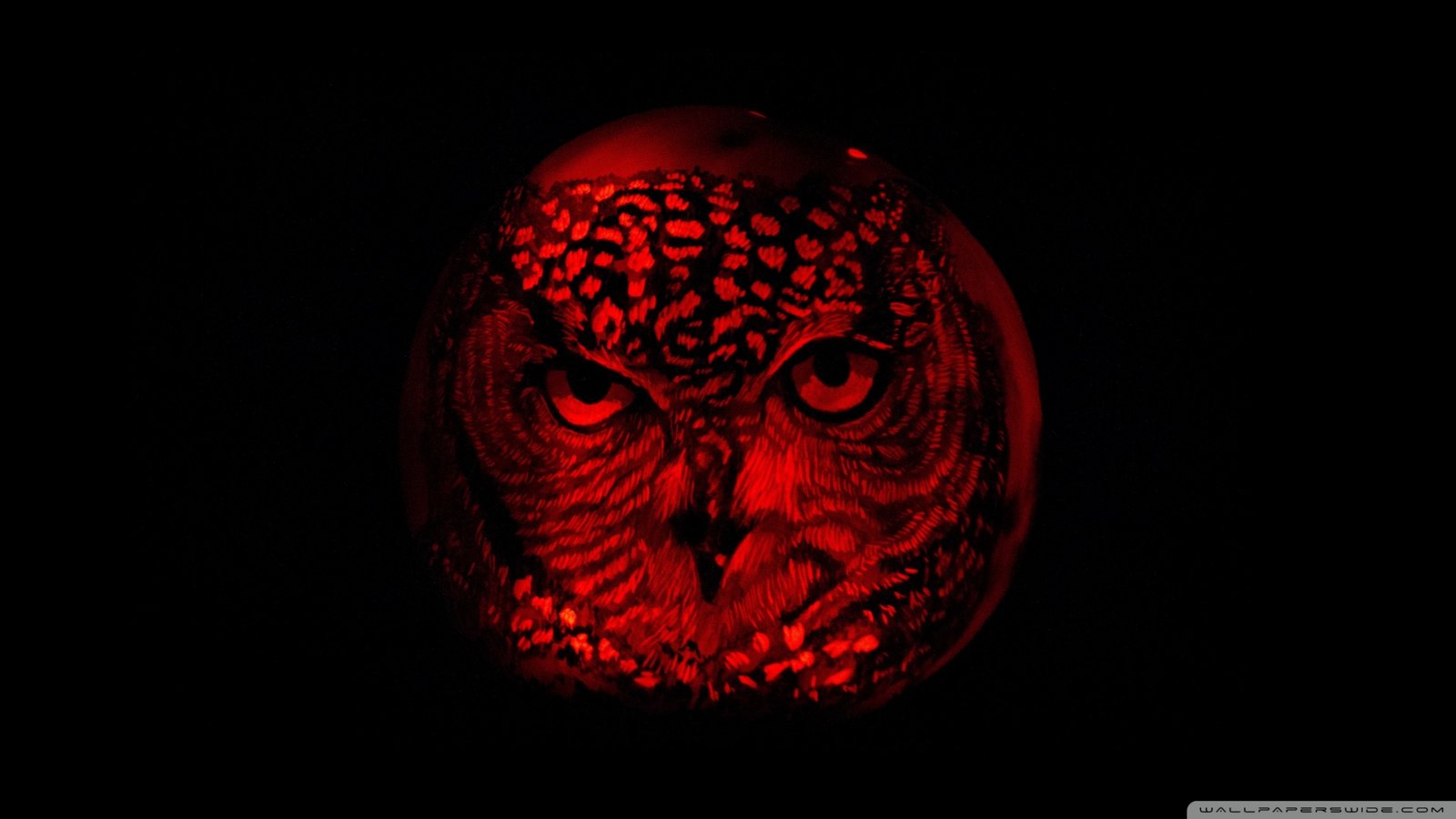 Owl Pumpkin Carving Wallpaper