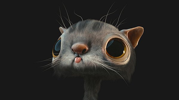 3D Cat - hdwallpaper4k