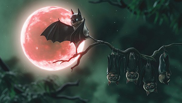 Bats Funny 4k - hdwallpaper4k