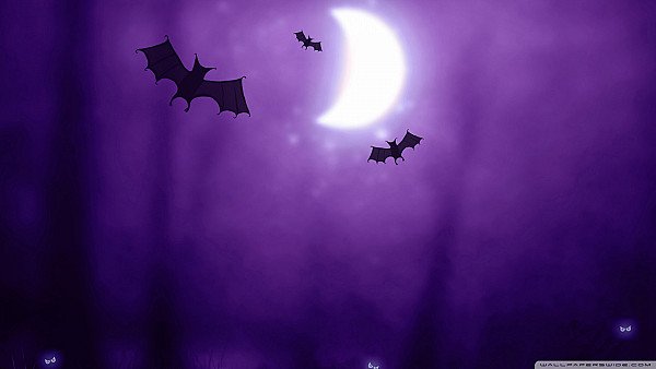 Bats   Halloween - hdwallpaper4k