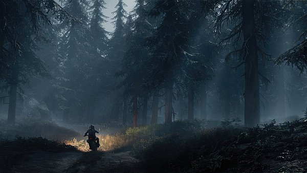 Days Gone 2024 - hdwallpaper4k