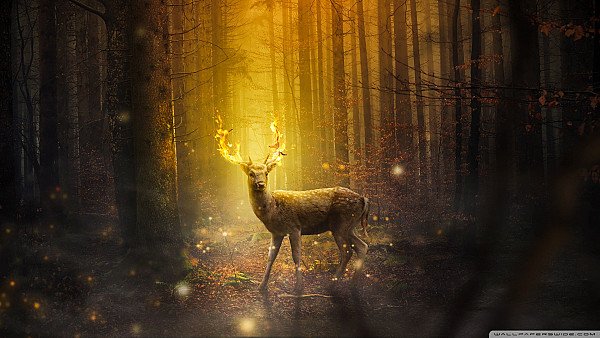 Fire Deer Fantasy Art - hdwallpaper4k