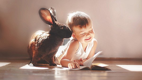 Rabbit And Children Cute - hdwallpaper4k