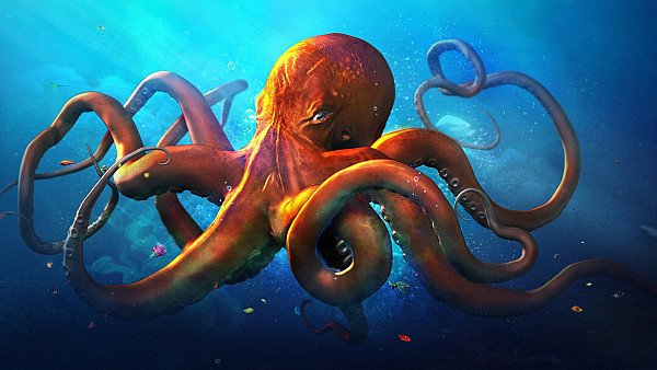 Slouching Octopus - hdwallpaper4k