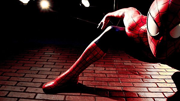 Spider Man Cosplay 5k - hdwallpaper4k