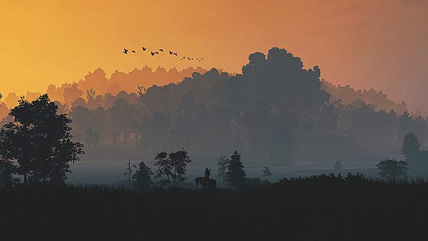 The Witcher 3 Minimal Nature 5k - hdwallpaper4k