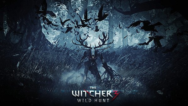 The Witcher 3 Wild Hunt Video Game wallpaper