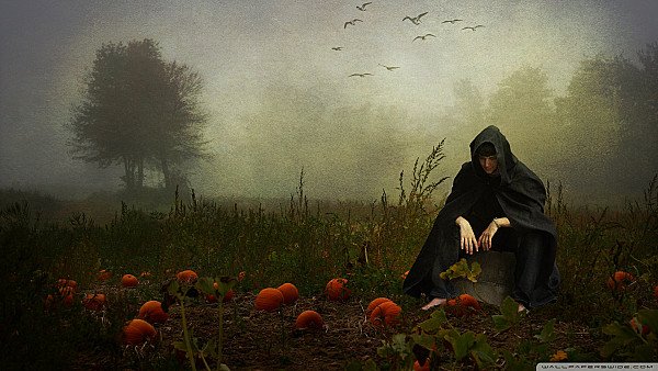 The Pumpkin Whisperer - hdwallpaper4k